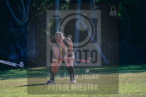Fotografía LLN-275 de (043) 2026-06-14 Newbery La Loba