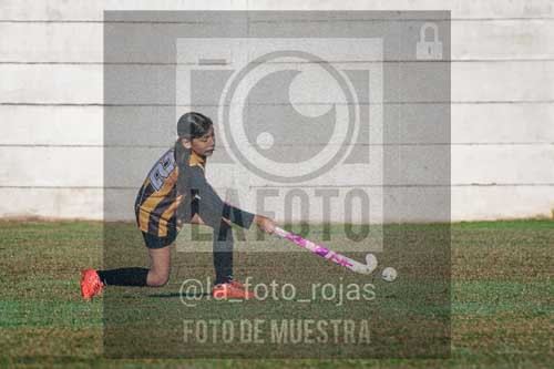 Fotografía LLN-28 de (043) 2026-06-14 Newbery La Loba