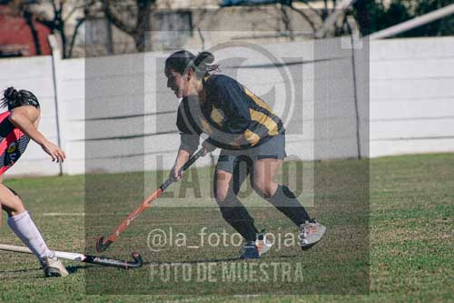 Fotografía LLN-281 de (043) 2026-06-14 Newbery La Loba