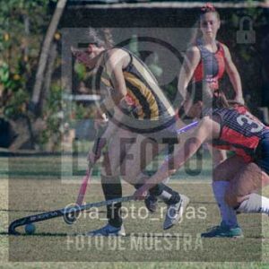 Fotografía LLN-284 de (043) 2026-06-14 Newbery La Loba