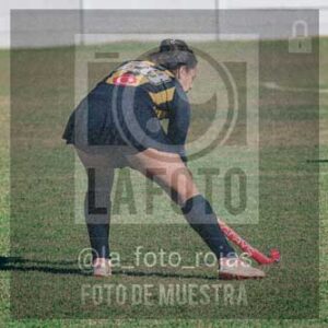 Fotografía LLN-289 de (043) 2026-06-14 Newbery La Loba