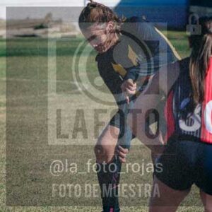 Fotografía LLN-290 de (043) 2026-06-14 Newbery La Loba
