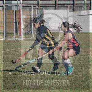 Fotografía LLN-291 de (043) 2026-06-14 Newbery La Loba