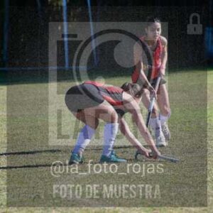 Fotografía LLN-295 de (043) 2026-06-14 Newbery La Loba