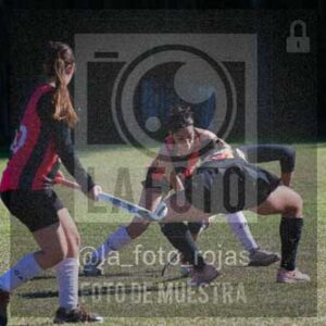 Fotografía LLN-296 de (043) 2026-06-14 Newbery La Loba