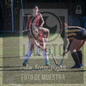 Fotografía LLN-297 de (043) 2026-06-14 Newbery La Loba