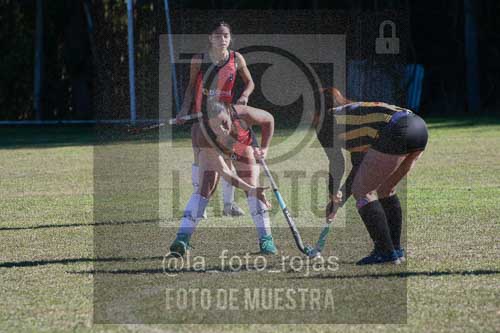 Fotografía LLN-297 de (043) 2026-06-14 Newbery La Loba