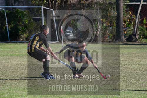 Fotografía LLN-298 de (043) 2026-06-14 Newbery La Loba