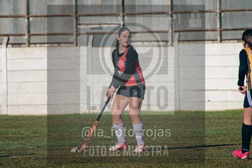 Fotografía LLN-3 de (043) 2026-06-14 Newbery La Loba
