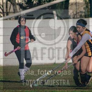 Fotografía LLN-30 de (043) 2026-06-14 Newbery La Loba