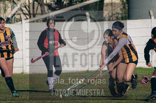 Fotografía LLN-30 de (043) 2026-06-14 Newbery La Loba