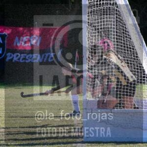Fotografía LLN-300 de (043) 2026-06-14 Newbery La Loba