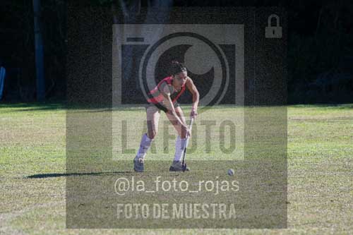 Fotografía LLN-301 de (043) 2026-06-14 Newbery La Loba