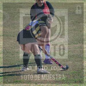 Fotografía LLN-306 de (043) 2026-06-14 Newbery La Loba