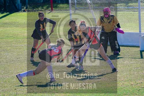 Fotografía LLN-311 de (043) 2026-06-14 Newbery La Loba
