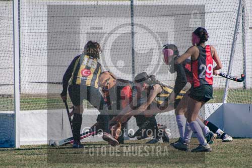 Fotografía LLN-316 de (043) 2026-06-14 Newbery La Loba