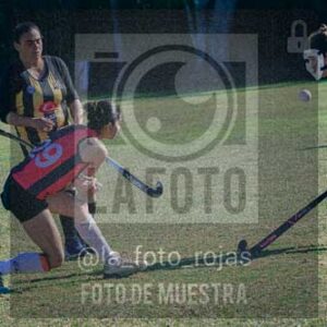 Fotografía LLN-317 de (043) 2026-06-14 Newbery La Loba