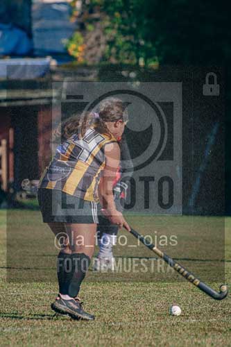 Fotografía LLN-35 de (043) 2026-06-14 Newbery La Loba