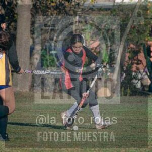 Fotografía LLN-4 de (043) 2026-06-14 Newbery La Loba