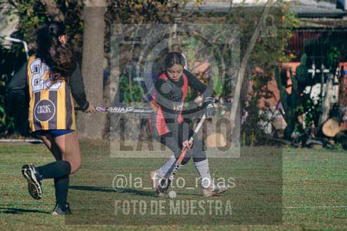 Fotografía LLN-4 de (043) 2026-06-14 Newbery La Loba