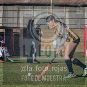 Fotografía LLN-41 de (043) 2026-06-14 Newbery La Loba