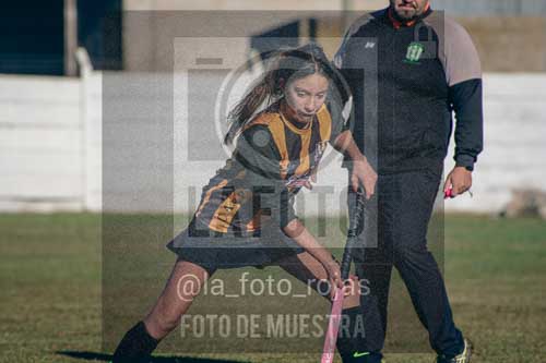 Fotografía LLN-42 de (043) 2026-06-14 Newbery La Loba