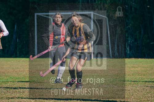 Fotografía LLN-44 de (043) 2026-06-14 Newbery La Loba