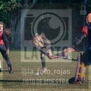 Fotografía LLN-47 de (043) 2026-06-14 Newbery La Loba