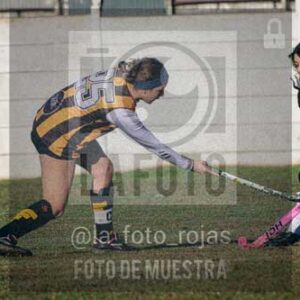 Fotografía LLN-5 de (043) 2026-06-14 Newbery La Loba
