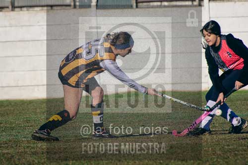 Fotografía LLN-5 de (043) 2026-06-14 Newbery La Loba