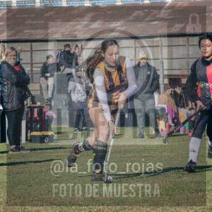 Fotografía LLN-50 de (043) 2026-06-14 Newbery La Loba