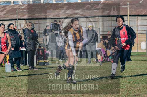Fotografía LLN-50 de (043) 2026-06-14 Newbery La Loba
