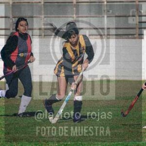 Fotografía LLN-54 de (043) 2026-06-14 Newbery La Loba