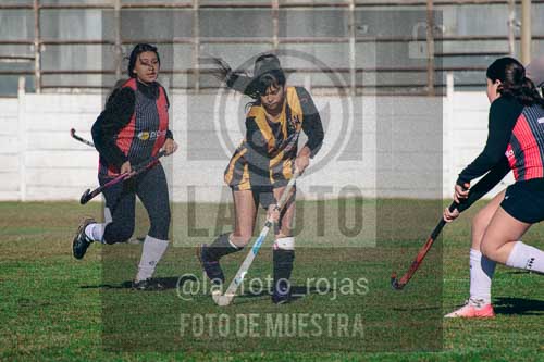 Fotografía LLN-54 de (043) 2026-06-14 Newbery La Loba