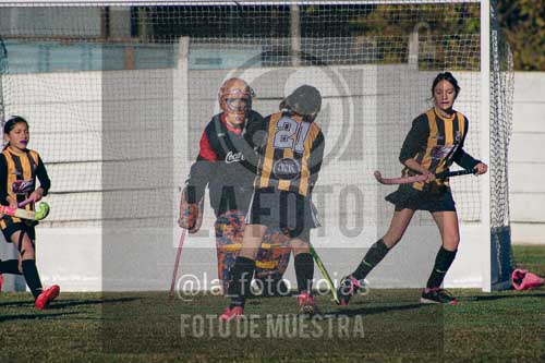 Fotografía LLN-6 de (043) 2026-06-14 Newbery La Loba