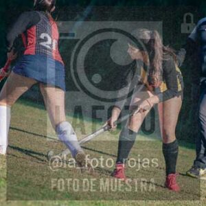 Fotografía LLN-78 de (043) 2026-06-14 Newbery La Loba