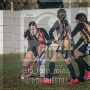 Fotografía LLN-8 de (043) 2026-06-14 Newbery La Loba