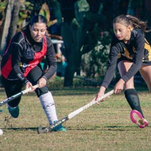 (043) NEWBERY LA LOBA