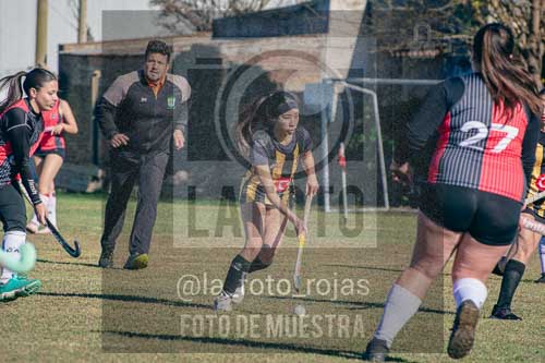Fotografía LLN-82 de (043) 2026-06-14 Newbery La Loba