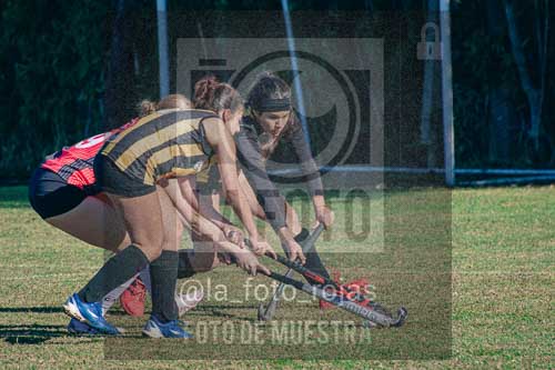Fotografía LLN-84 de (043) 2026-06-14 Newbery La Loba