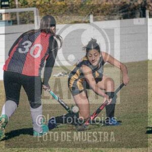 Fotografía LLN-86 de (043) 2026-06-14 Newbery La Loba