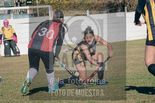 Fotografía LLN-86 de (043) 2026-06-14 Newbery La Loba