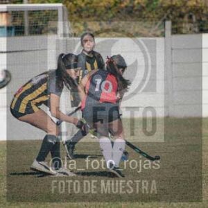 Fotografía LLN-88 de (043) 2026-06-14 Newbery La Loba