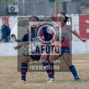 Fotografía SJP-32 de (39) 2026-05-31 San Jose Provincial