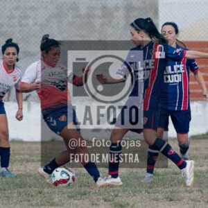 Fotografía SJP-37 de (39) 2026-05-31 San Jose Provincial
