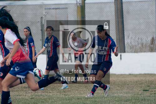 Fotografía SJP-5 de (39) 2026-05-31 San Jose Provincial