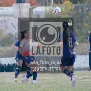 Fotografía SJP-51 de (39) 2026-05-31 San Jose Provincial