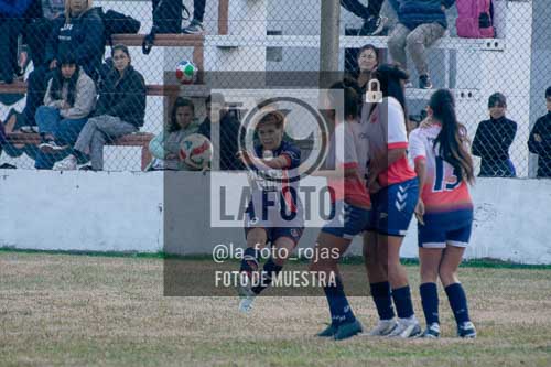 Fotografía SJP-59 de (39) 2026-05-31 San Jose Provincial