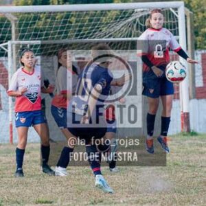 Fotografía SJP-7 de (39) 2026-05-31 San Jose Provincial