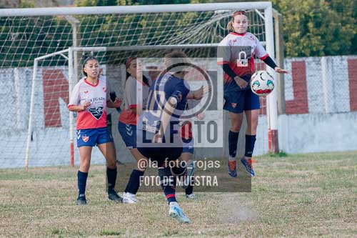 Fotografía SJP-7 de (39) 2026-05-31 San Jose Provincial